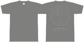 Hexis_T-Shirts_Grey
