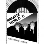 PRIVATE WORLD volume5 - Brickfield Nights -