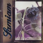 Samiam - "st" (LP)
