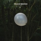 Leda / Trachimbrod (CD)