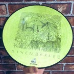 Everything's Wrong / Disembarked (LP: Picture Disc)