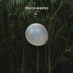 [SALE] Leda / Trachimbrod (LP)