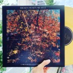 Dark Whimsy and Soft Surrealism / BROKEN HEARTS ARE BLUE (2xLP)