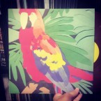 Parrot Flies / Algernon Cadwallader (LP: Random Color)