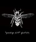 paradigm shift / ghostlate (CD EP)