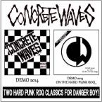 Two Hard Punk Roq Classics For Danger Boy / Concrete Waves (CDR)