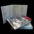 st / A Flower Kollapsed (CD)