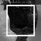 st / Downfall Of Gaia (CD)