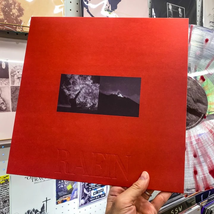 Raein - "A Collection of Splits and EPs 2004 - 2015" (LP)