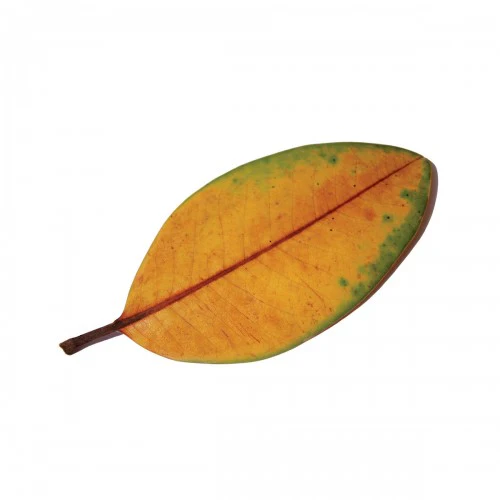 La Quiete - "La Fine Non E La Fine" (CD)