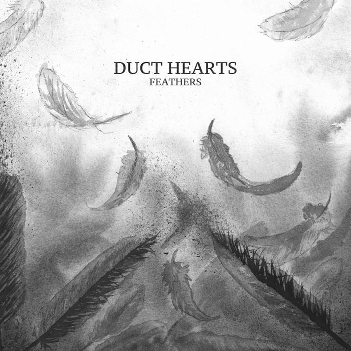 duct hearts - "feathers" (LP)