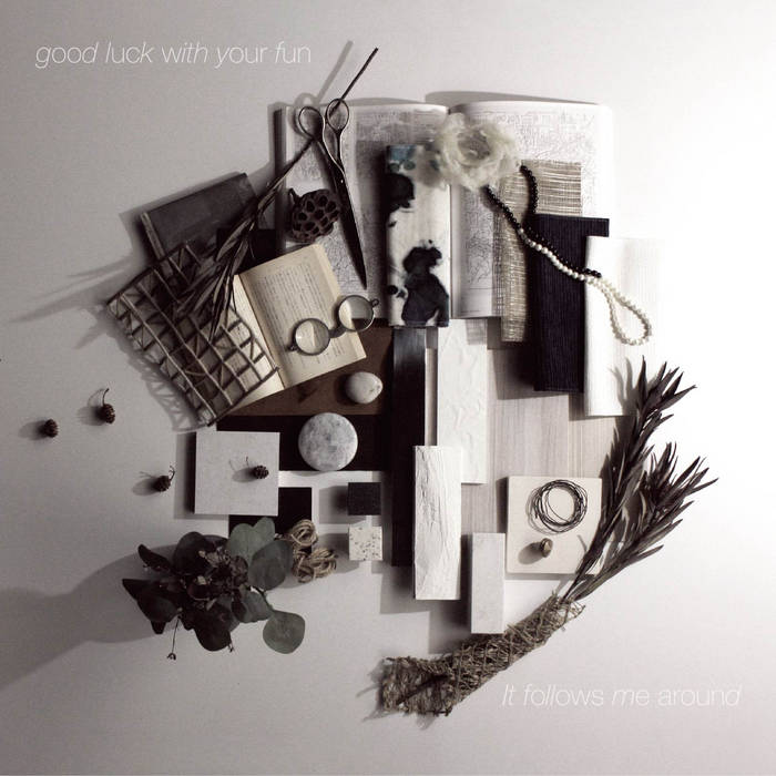 good luck with your fun - "It follows me around" (CD)