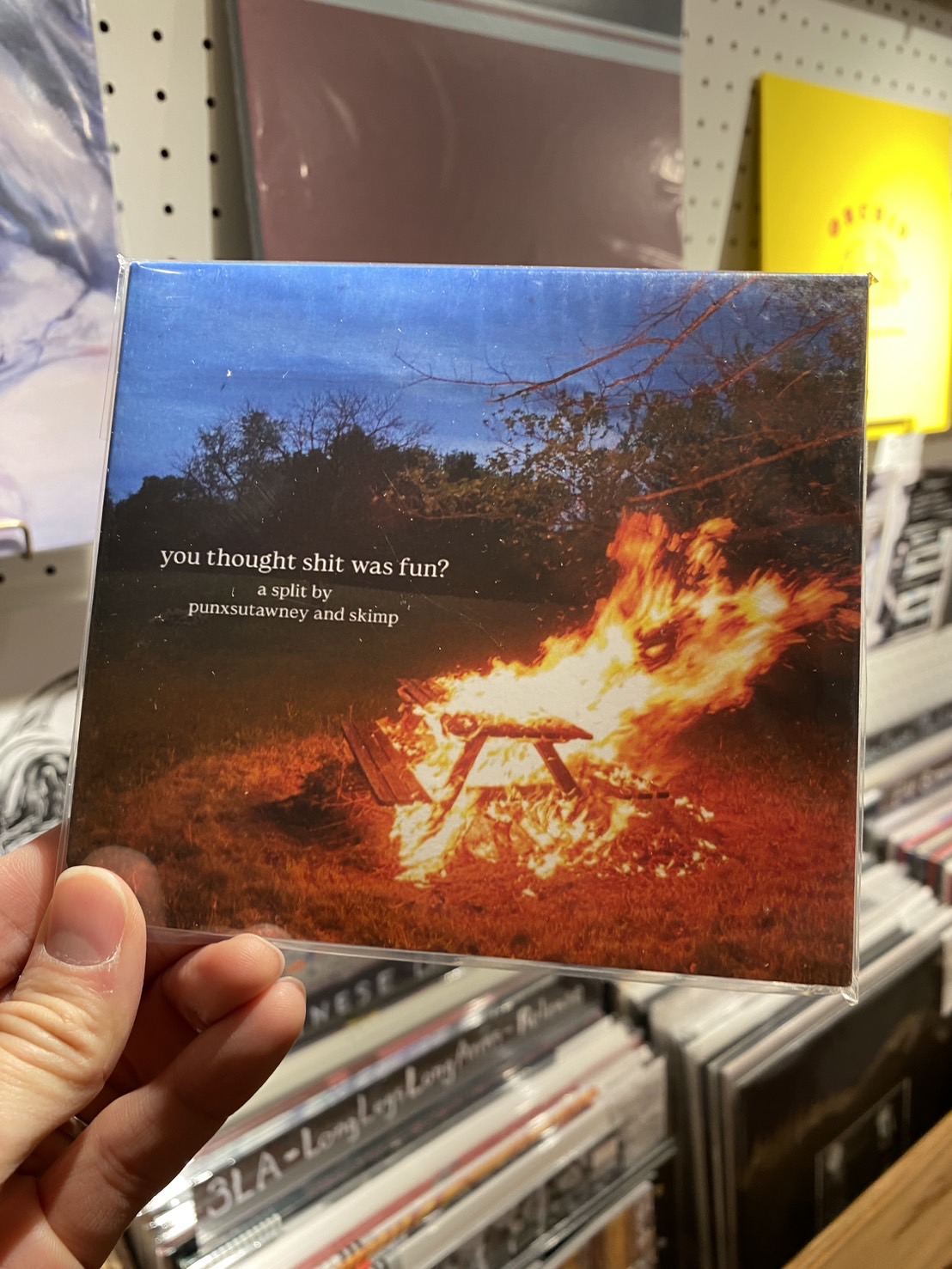 punxsutawney + Skimp - "you thought shit was fun?"(SPLIT CD)