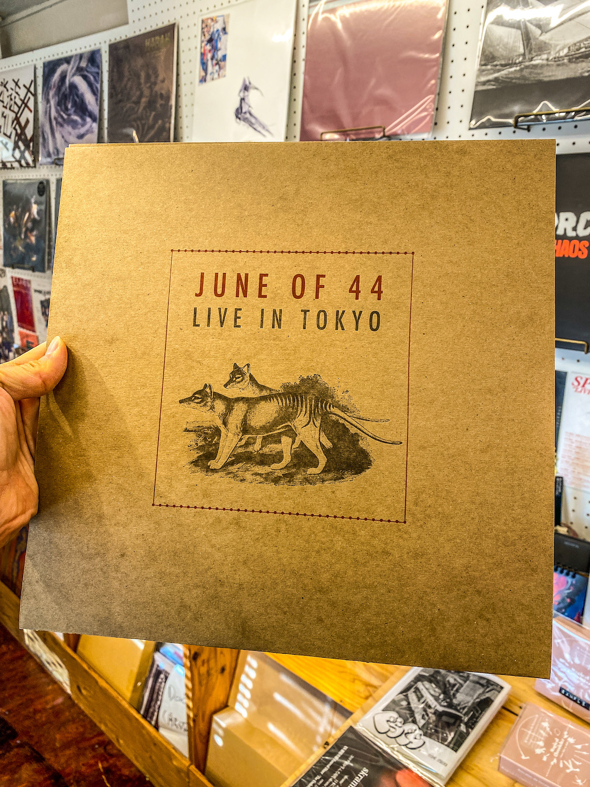 June Of 44 - LIVE IN TOKYO (LP:Black)