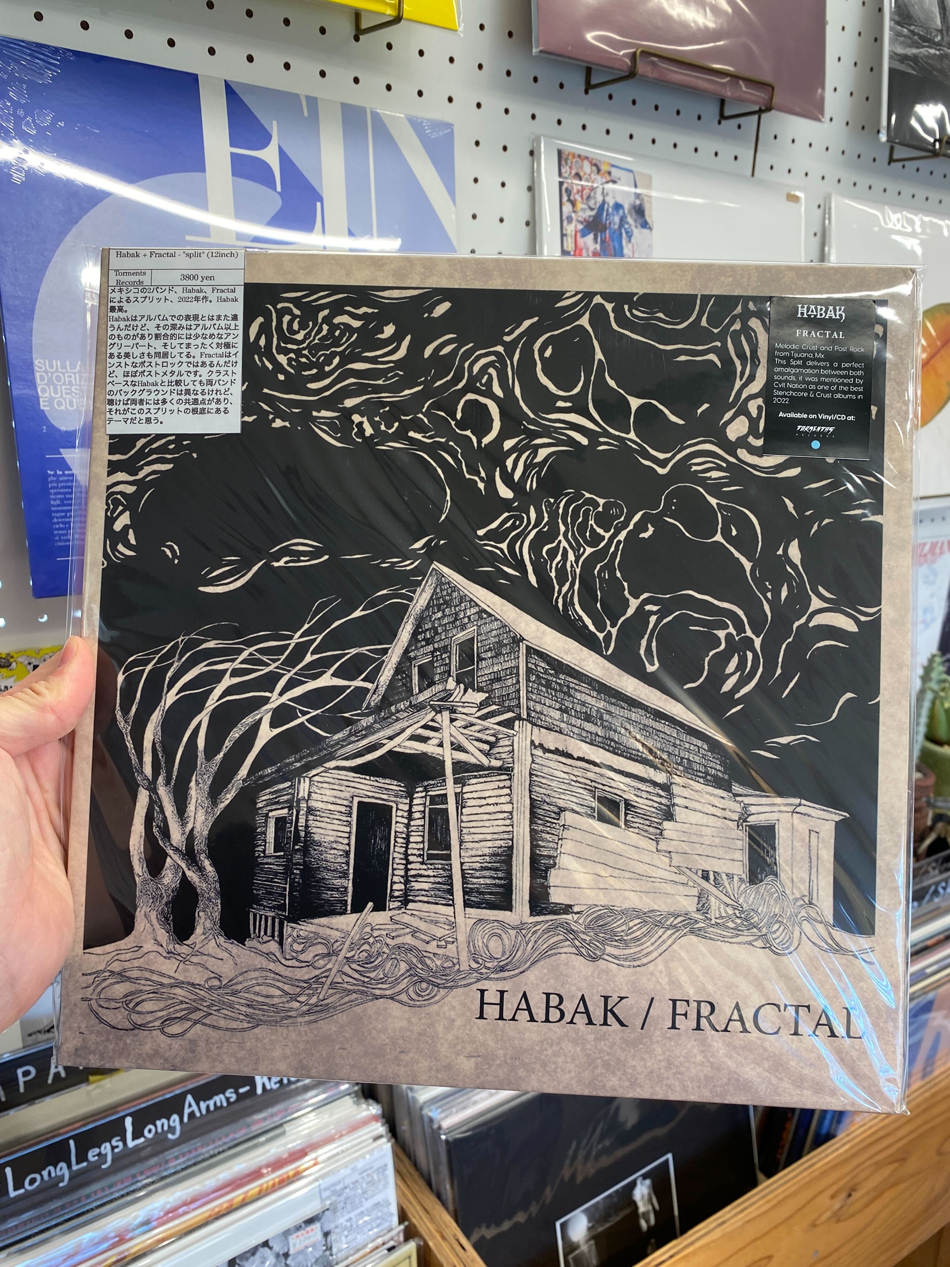Habak + Fractal - "split" (12inch)