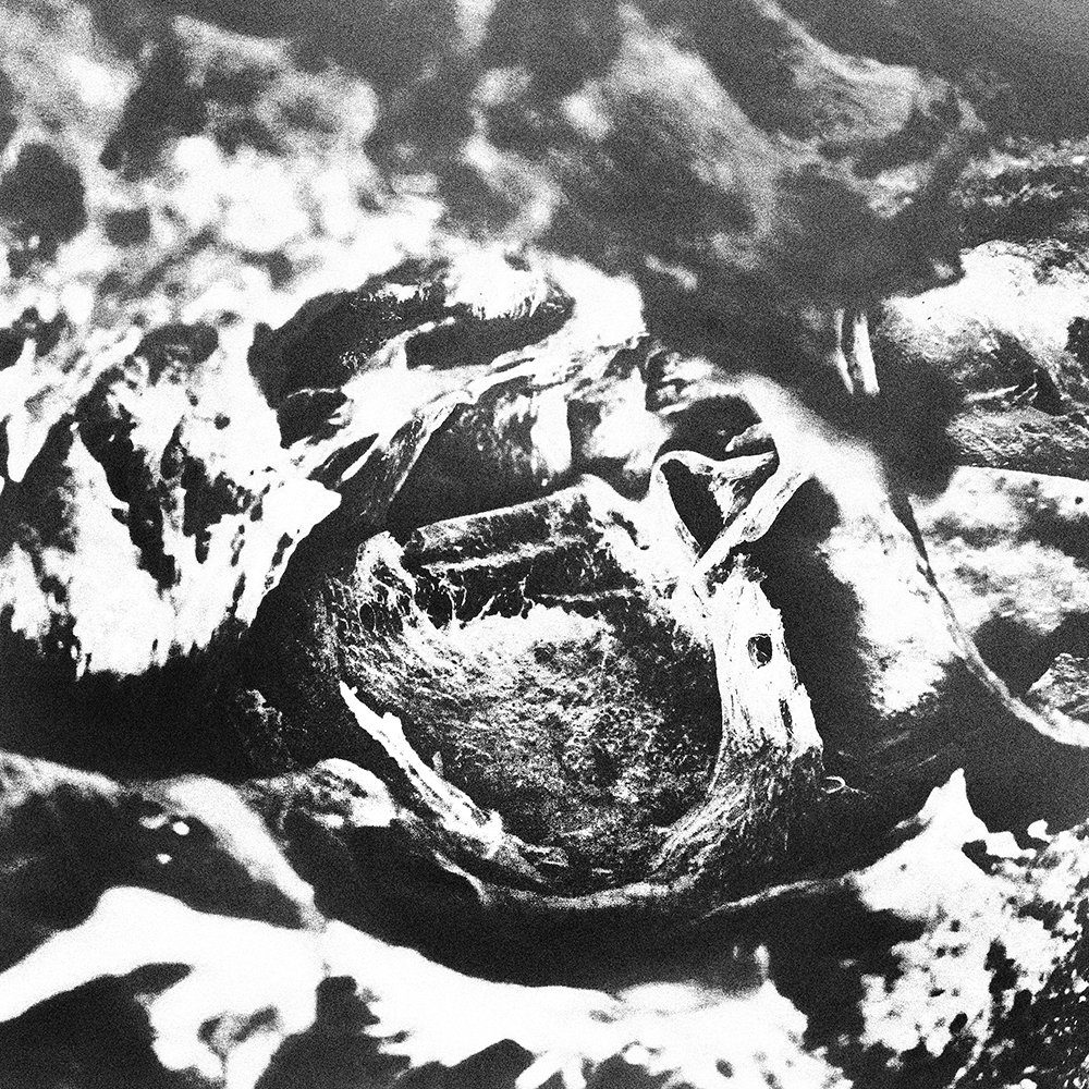 Anicon + Belus "Split"(12inch)