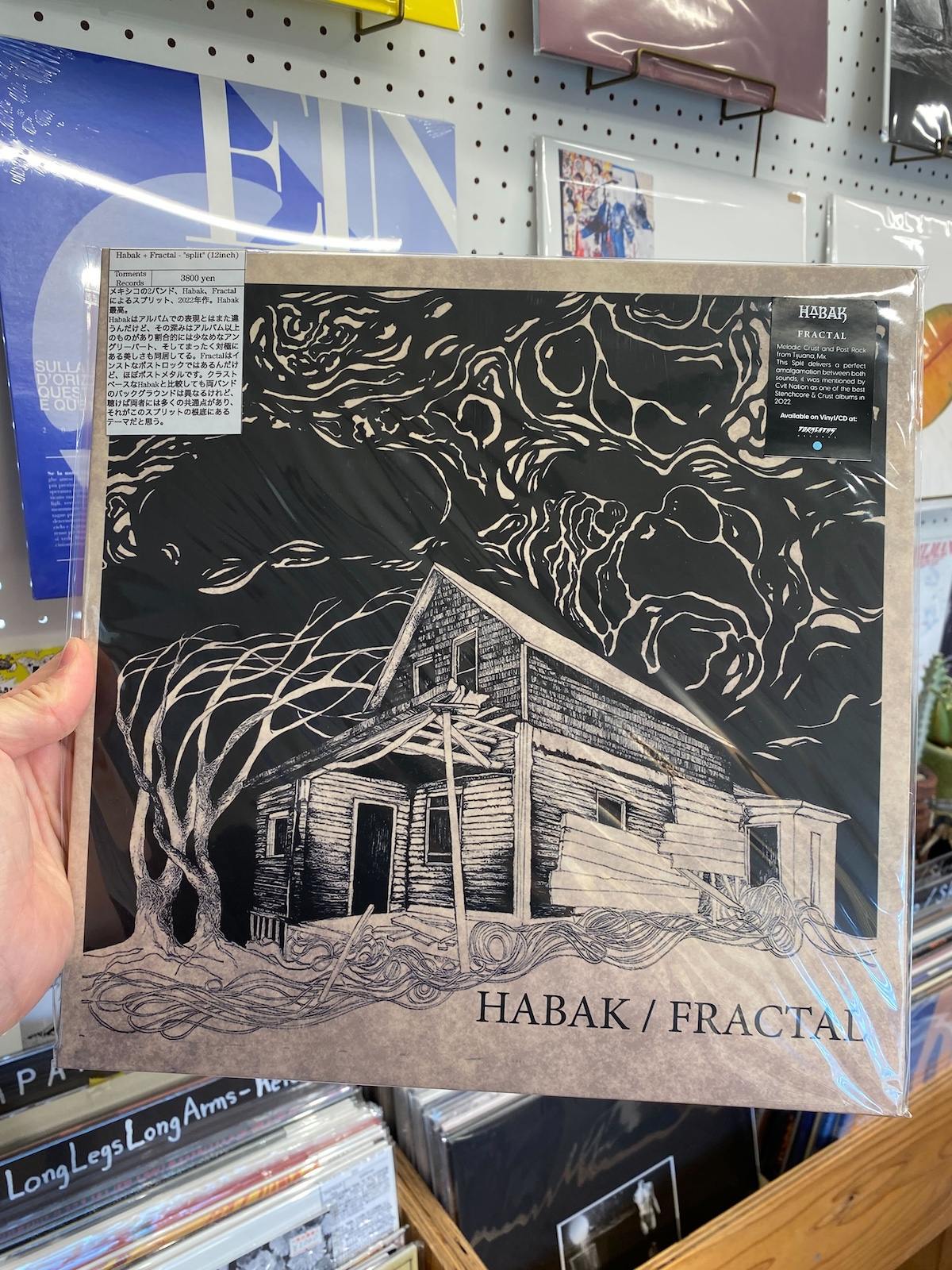 Habak + Fractal - "split" (12inch)