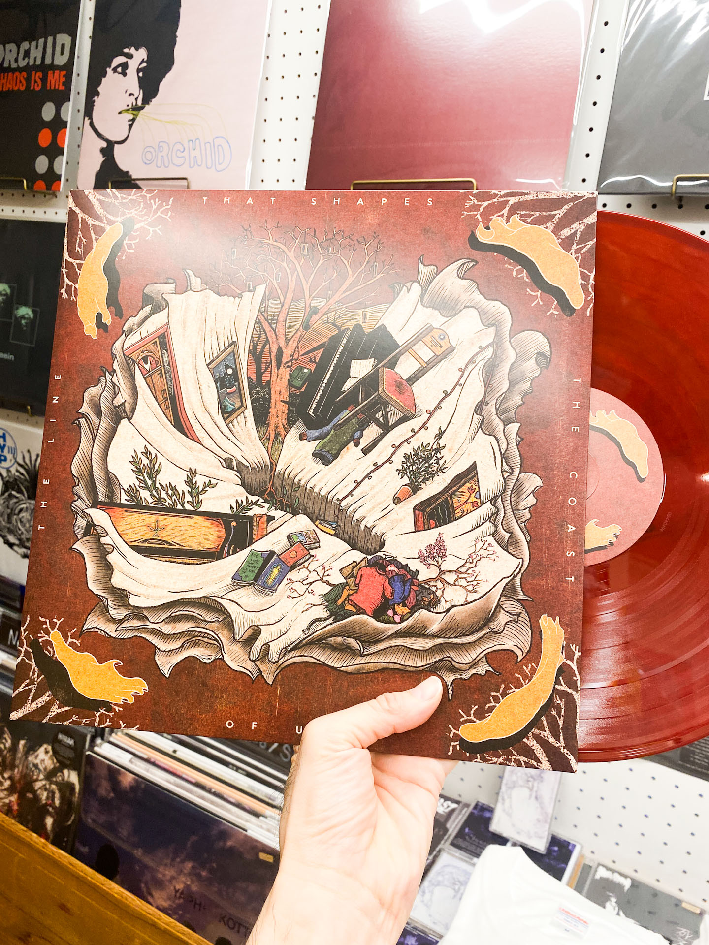 Chalk Hands "The Line That Shapes the Coast of Us" (LP)