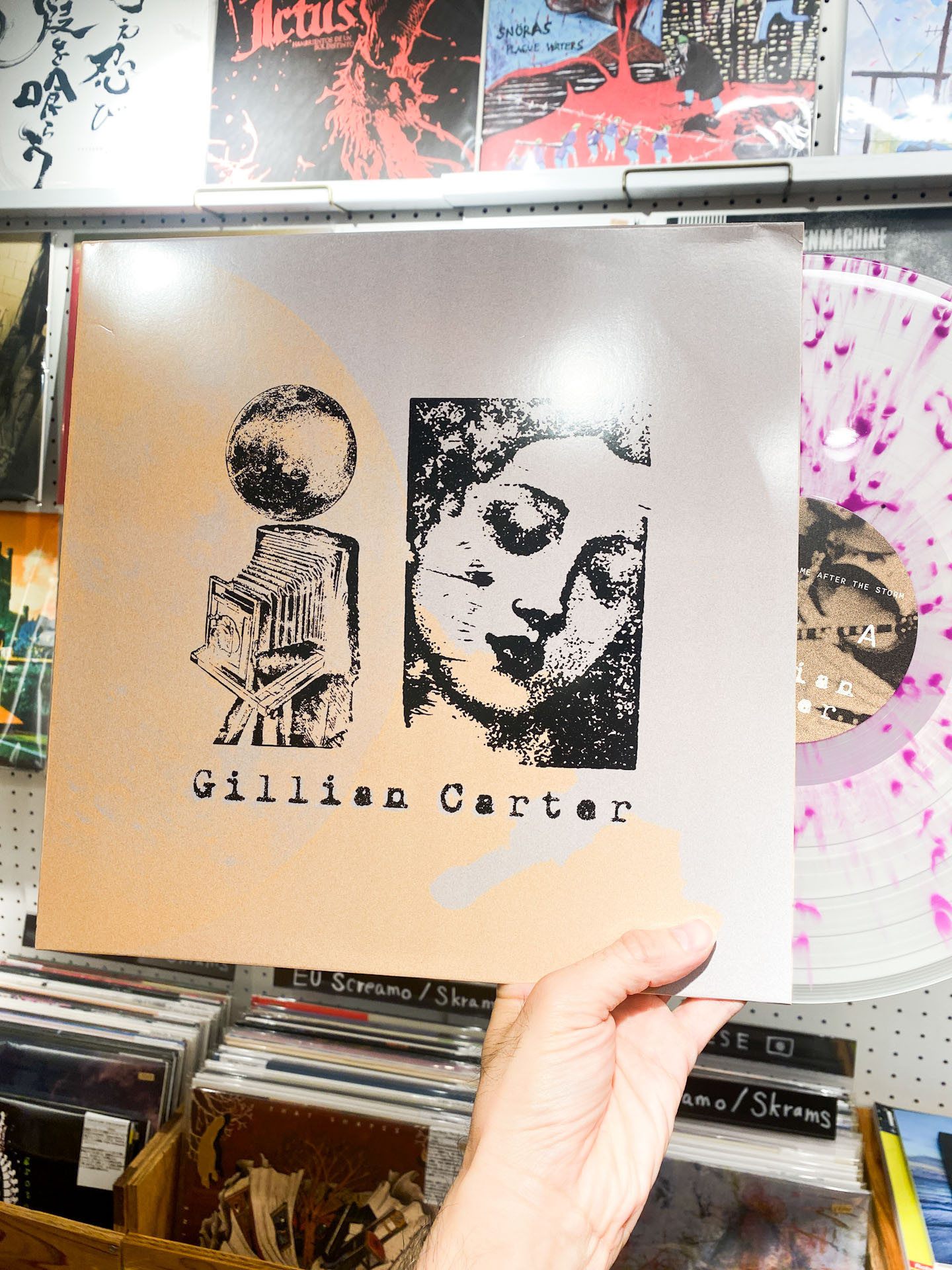 Gillian Carter - "The Flood That Came After The Storm & Having Lost..." (2xLP)