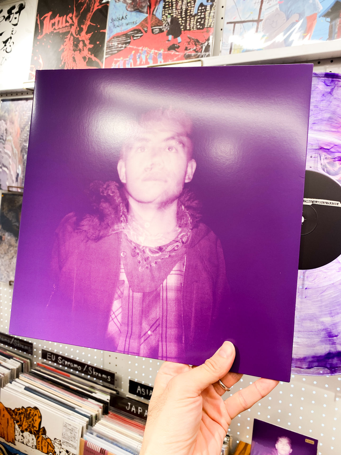 iwrotehaikusaboutcannibalisminyouryearbook - "discography" (LP)