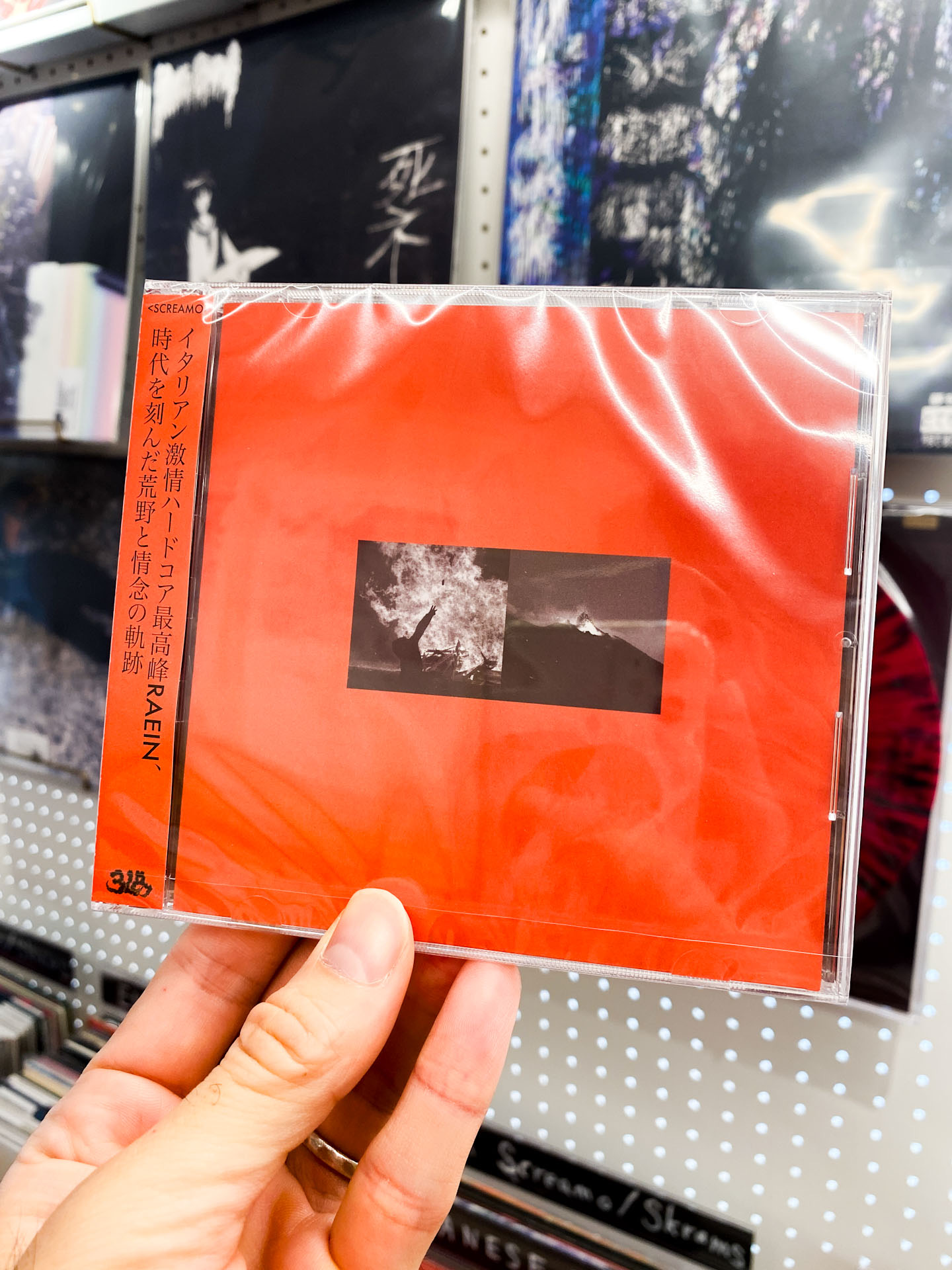 Raein - "A Collection of Splits and EPs 2004 - 2015 / 荒野と情念の軌跡" (CD: 対訳帯付)